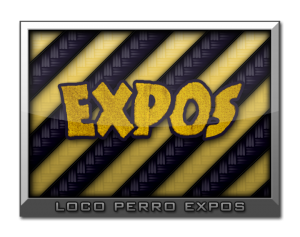 expos_chip1